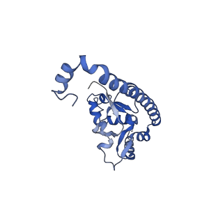9701_6ip5_2I_v1-2
Cryo-EM structure of the CMV-stalled human 80S ribosome (Structure ii)