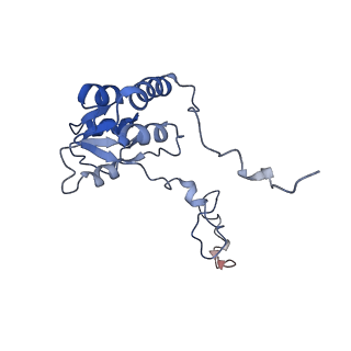9701_6ip5_2K_v1-2
Cryo-EM structure of the CMV-stalled human 80S ribosome (Structure ii)
