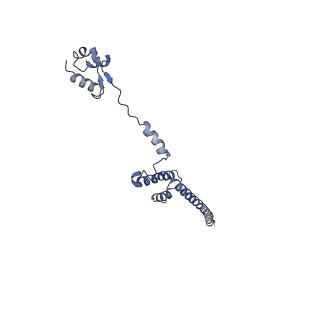 9701_6ip5_2L_v1-2
Cryo-EM structure of the CMV-stalled human 80S ribosome (Structure ii)