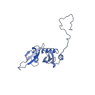 9701_6ip5_2M_v1-2
Cryo-EM structure of the CMV-stalled human 80S ribosome (Structure ii)