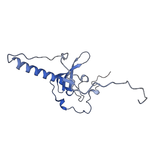 9701_6ip5_2N_v1-2
Cryo-EM structure of the CMV-stalled human 80S ribosome (Structure ii)