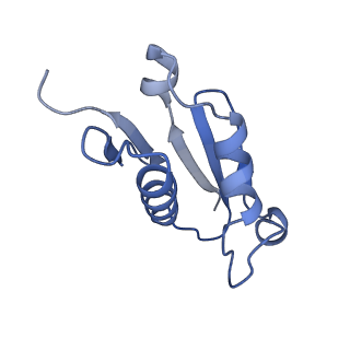 9701_6ip5_2O_v1-2
Cryo-EM structure of the CMV-stalled human 80S ribosome (Structure ii)
