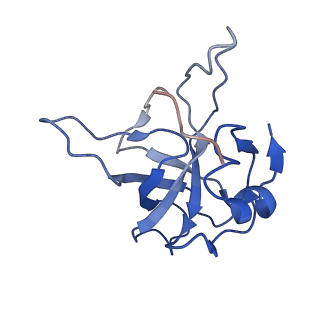 9701_6ip5_2P_v1-2
Cryo-EM structure of the CMV-stalled human 80S ribosome (Structure ii)