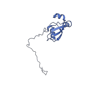 9701_6ip5_2R_v1-2
Cryo-EM structure of the CMV-stalled human 80S ribosome (Structure ii)