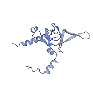 9701_6ip5_2S_v1-2
Cryo-EM structure of the CMV-stalled human 80S ribosome (Structure ii)