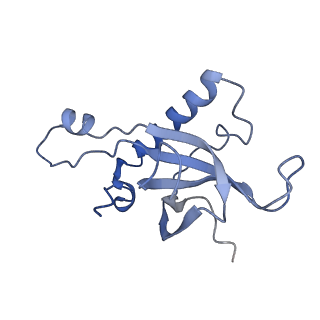 9701_6ip5_2T_v1-2
Cryo-EM structure of the CMV-stalled human 80S ribosome (Structure ii)