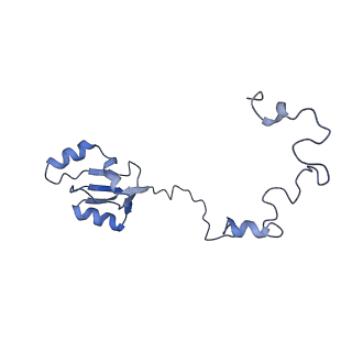 9701_6ip5_2U_v1-2
Cryo-EM structure of the CMV-stalled human 80S ribosome (Structure ii)