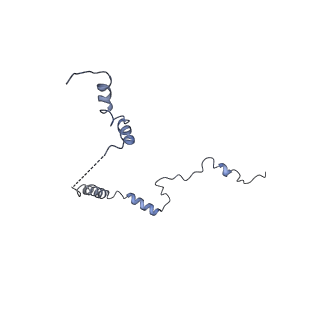 9701_6ip5_2V_v1-2
Cryo-EM structure of the CMV-stalled human 80S ribosome (Structure ii)