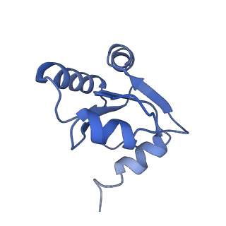 9701_6ip5_2W_v1-2
Cryo-EM structure of the CMV-stalled human 80S ribosome (Structure ii)