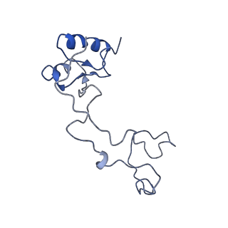 9701_6ip5_2Y_v1-2
Cryo-EM structure of the CMV-stalled human 80S ribosome (Structure ii)