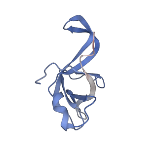 9701_6ip5_2Z_v1-2
Cryo-EM structure of the CMV-stalled human 80S ribosome (Structure ii)