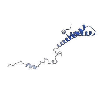 9701_6ip5_2b_v1-2
Cryo-EM structure of the CMV-stalled human 80S ribosome (Structure ii)