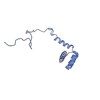 9701_6ip5_2c_v1-2
Cryo-EM structure of the CMV-stalled human 80S ribosome (Structure ii)