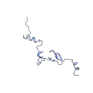9701_6ip5_2d_v1-2
Cryo-EM structure of the CMV-stalled human 80S ribosome (Structure ii)