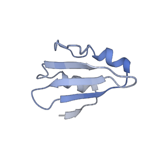 9701_6ip5_2e_v1-2
Cryo-EM structure of the CMV-stalled human 80S ribosome (Structure ii)