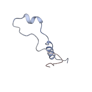 9701_6ip5_2f_v1-2
Cryo-EM structure of the CMV-stalled human 80S ribosome (Structure ii)