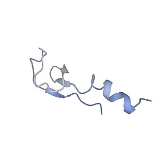 9701_6ip5_2g_v1-2
Cryo-EM structure of the CMV-stalled human 80S ribosome (Structure ii)