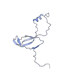 9701_6ip5_2i_v1-2
Cryo-EM structure of the CMV-stalled human 80S ribosome (Structure ii)