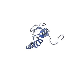 9701_6ip5_2j_v1-2
Cryo-EM structure of the CMV-stalled human 80S ribosome (Structure ii)