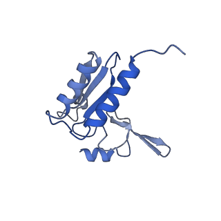 9701_6ip5_2k_v1-2
Cryo-EM structure of the CMV-stalled human 80S ribosome (Structure ii)