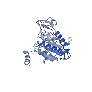 9701_6ip5_2n_v1-2
Cryo-EM structure of the CMV-stalled human 80S ribosome (Structure ii)