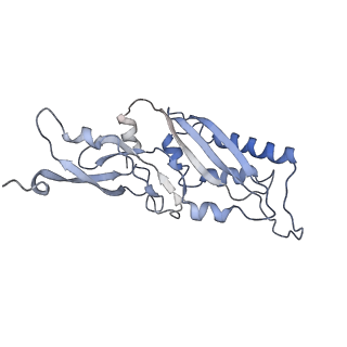 9701_6ip5_2o_v1-2
Cryo-EM structure of the CMV-stalled human 80S ribosome (Structure ii)