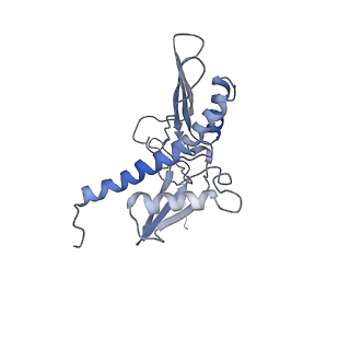 9701_6ip5_2p_v1-2
Cryo-EM structure of the CMV-stalled human 80S ribosome (Structure ii)