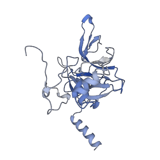 9701_6ip5_2q_v1-2
Cryo-EM structure of the CMV-stalled human 80S ribosome (Structure ii)