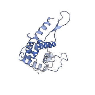 9701_6ip5_2r_v1-2
Cryo-EM structure of the CMV-stalled human 80S ribosome (Structure ii)