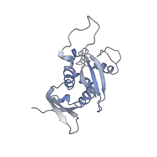 9701_6ip5_2s_v1-2
Cryo-EM structure of the CMV-stalled human 80S ribosome (Structure ii)