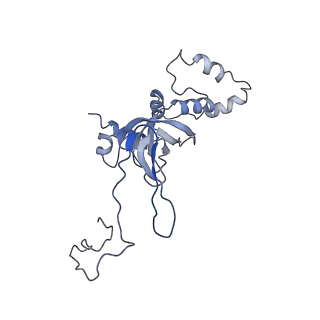 9701_6ip5_2t_v1-2
Cryo-EM structure of the CMV-stalled human 80S ribosome (Structure ii)