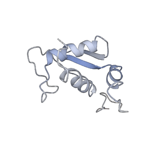 9701_6ip5_2u_v1-2
Cryo-EM structure of the CMV-stalled human 80S ribosome (Structure ii)