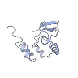 9701_6ip5_2w_v1-2
Cryo-EM structure of the CMV-stalled human 80S ribosome (Structure ii)