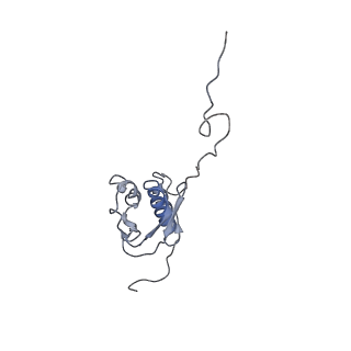 9701_6ip5_2x_v1-2
Cryo-EM structure of the CMV-stalled human 80S ribosome (Structure ii)