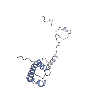 9701_6ip5_2y_v1-2
Cryo-EM structure of the CMV-stalled human 80S ribosome (Structure ii)