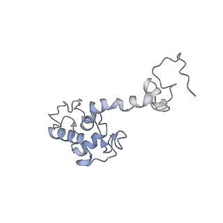 9701_6ip5_2z_v1-2
Cryo-EM structure of the CMV-stalled human 80S ribosome (Structure ii)