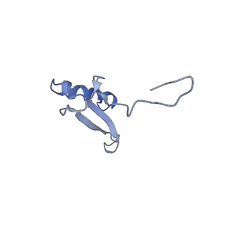 9701_6ip5_3A_v1-2
Cryo-EM structure of the CMV-stalled human 80S ribosome (Structure ii)