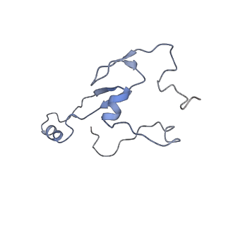 9701_6ip5_3C_v1-2
Cryo-EM structure of the CMV-stalled human 80S ribosome (Structure ii)