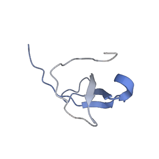 9701_6ip5_3D_v1-2
Cryo-EM structure of the CMV-stalled human 80S ribosome (Structure ii)
