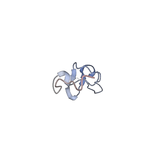 9701_6ip5_3E_v1-2
Cryo-EM structure of the CMV-stalled human 80S ribosome (Structure ii)