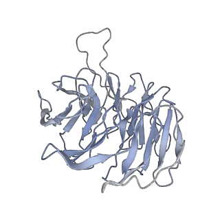 9701_6ip5_3F_v1-2
Cryo-EM structure of the CMV-stalled human 80S ribosome (Structure ii)