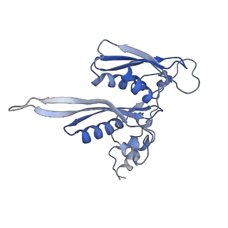 9701_6ip5_3G_v1-2
Cryo-EM structure of the CMV-stalled human 80S ribosome (Structure ii)