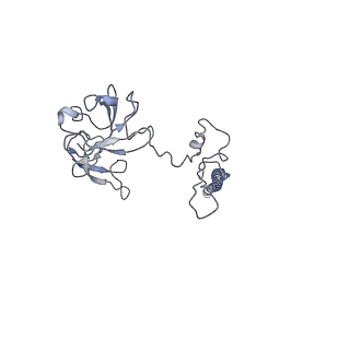9701_6ip5_3H_v1-2
Cryo-EM structure of the CMV-stalled human 80S ribosome (Structure ii)