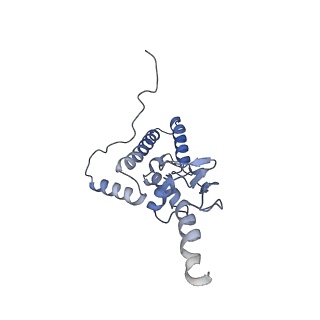 9701_6ip5_3I_v1-2
Cryo-EM structure of the CMV-stalled human 80S ribosome (Structure ii)