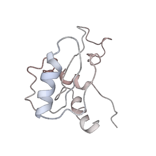 9701_6ip5_3J_v1-2
Cryo-EM structure of the CMV-stalled human 80S ribosome (Structure ii)