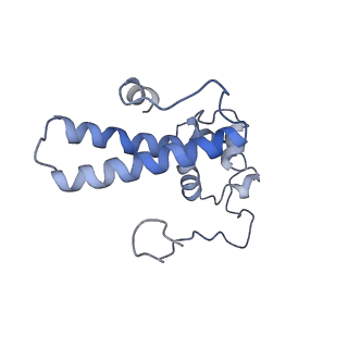 9701_6ip5_3K_v1-2
Cryo-EM structure of the CMV-stalled human 80S ribosome (Structure ii)
