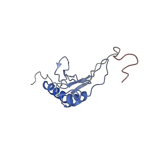 9701_6ip5_3L_v1-2
Cryo-EM structure of the CMV-stalled human 80S ribosome (Structure ii)
