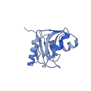 9701_6ip5_3M_v1-2
Cryo-EM structure of the CMV-stalled human 80S ribosome (Structure ii)