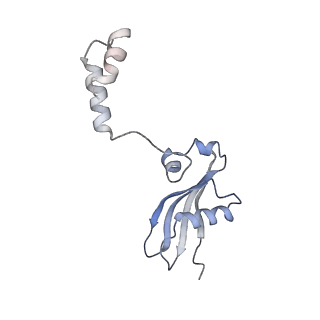 9701_6ip5_3N_v1-2
Cryo-EM structure of the CMV-stalled human 80S ribosome (Structure ii)