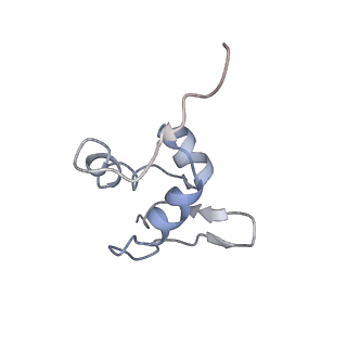 9701_6ip5_3O_v1-2
Cryo-EM structure of the CMV-stalled human 80S ribosome (Structure ii)